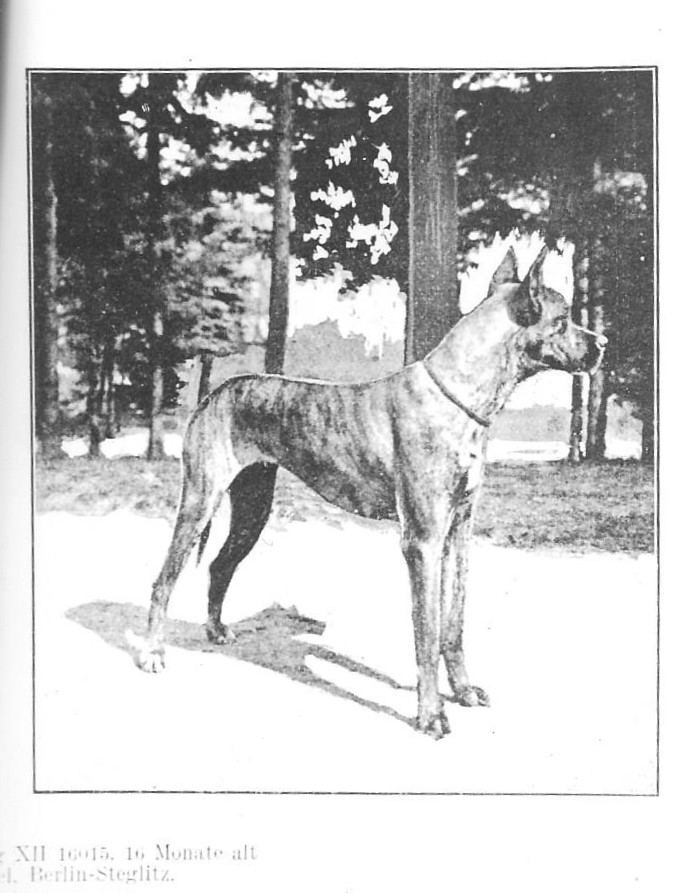 Dina v Schwanenberg